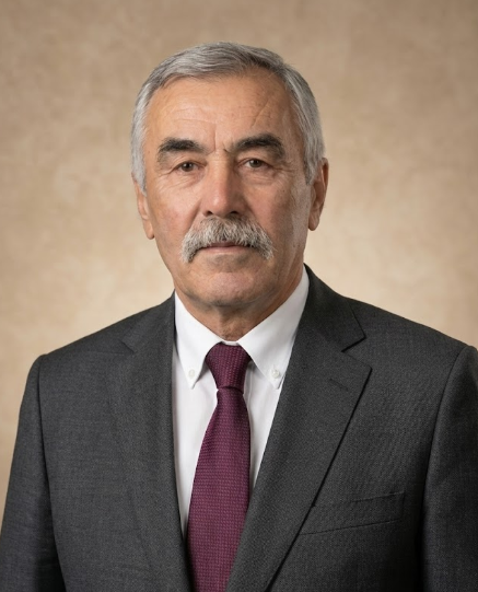 Mehmet YILDIRIM
